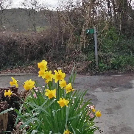 The Mill Cottage Llechryd Экстерьер фото