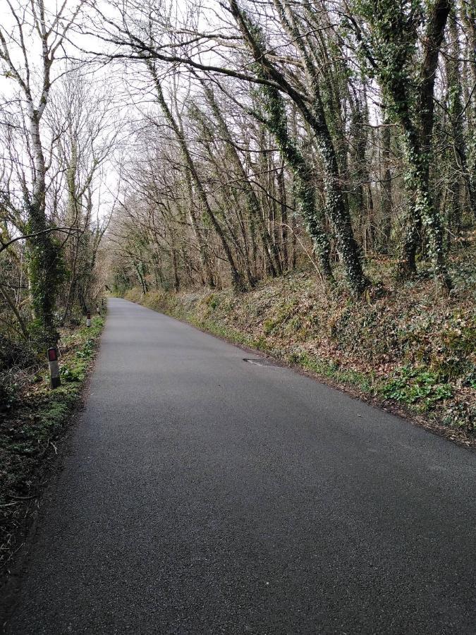 The Mill Llechryd